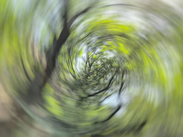 Spring blurred trees. Abstract motion blur effect.