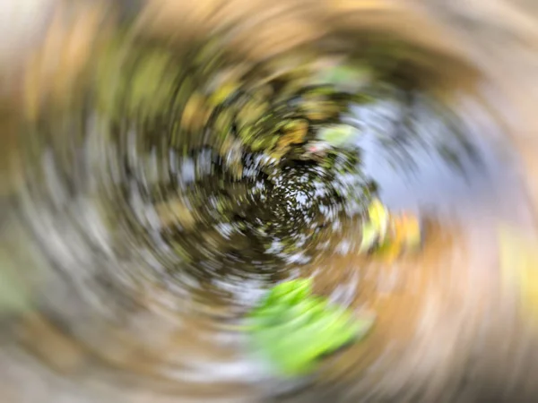 Spring blurred tree. Abstract motion blur effect. — Stock Photo, Image