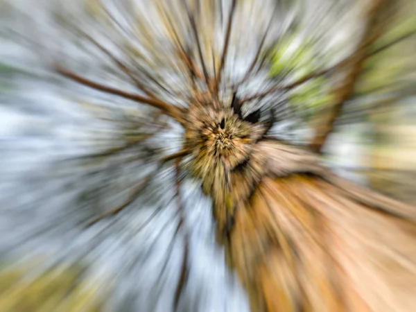 Frühling verschwimmt Baum. abstrakte Bewegungsunschärfe. — Stockfoto