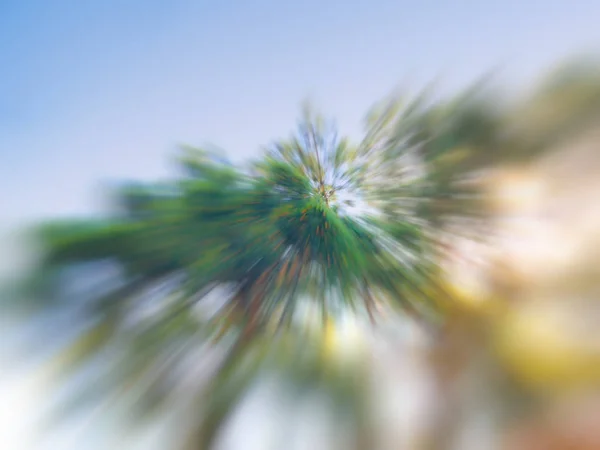 Spring blurred tree. Abstract motion blur effect.