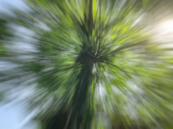 Tavaszi homályos fa. Absztrakt motion blur effekt. — Stock Fotó