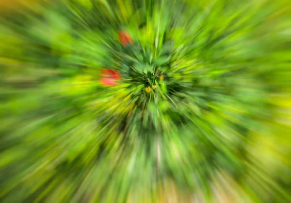 Jarní květiny rozmazané. Abstraktní motion blur efekt. — Stock fotografie