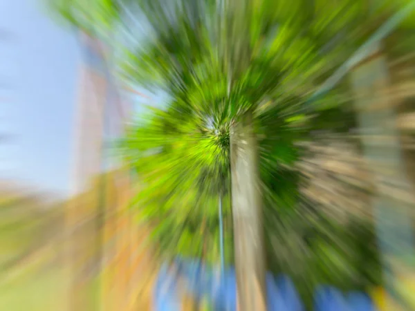 Árvore borrada de primavera. Abstrato efeito borrão movimento . — Fotografia de Stock