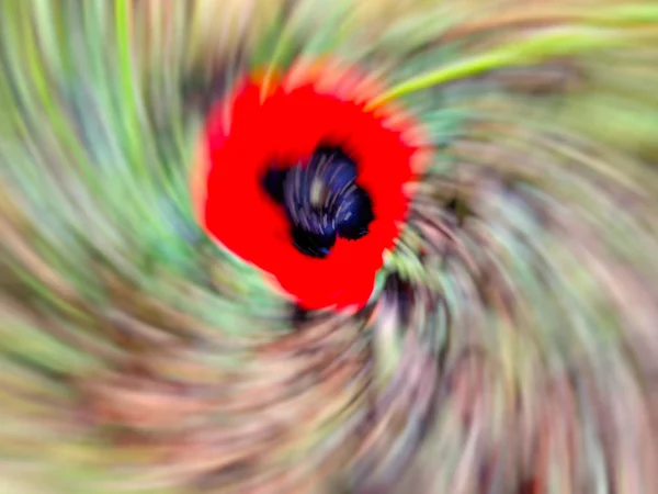 Spring blurred flowers. Abstract motion blur effect.