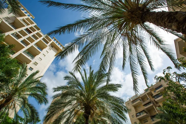 Rishon Le Zion, İsrail-7 Mayıs 2018: yüksek konut Rishon Lezion, İsrail'de bina.