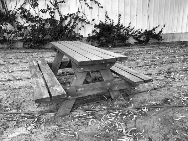 Table en bois avec sièges en bois dans le parc — Photo