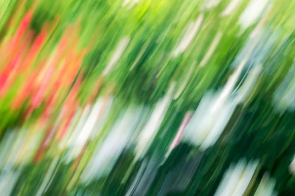 Frühling verschwommene Blumen. abstrakte Bewegungsunschärfe — Stockfoto