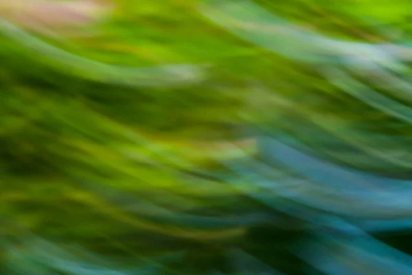 Spring blurred flowers. Abstract motion blur effect