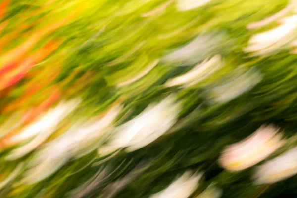 Frühling verschwommene Blumen. abstrakte Bewegungsunschärfe — Stockfoto