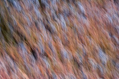 Bahar çiçekleri bulanık. Soyut hareket bulanıklığı etkisi