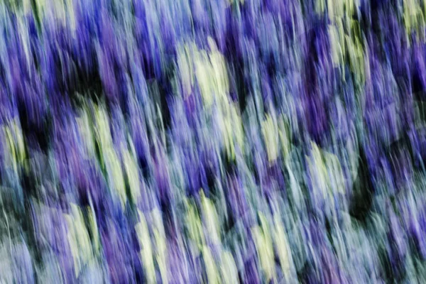 Wazig Bloemen Het Voorjaar Abstracte Bewegingsvervaging Effect — Stockfoto