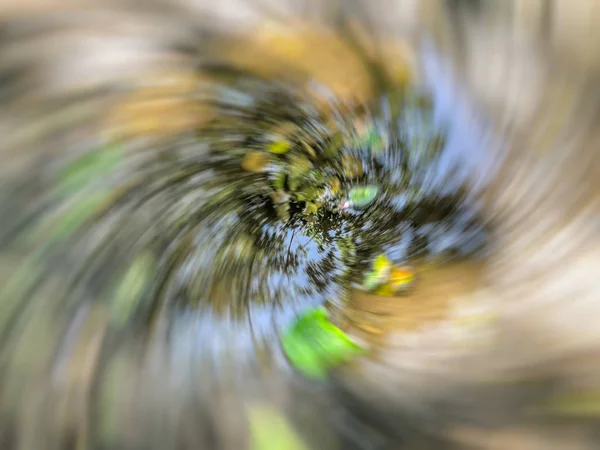 Jarní rozmazané stromy. Abstraktní motion blur efekt. — Stock fotografie