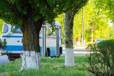 Arkadan görünüş otobüs, sürücü ve yolcu görünür değildir. Yolda otobüs