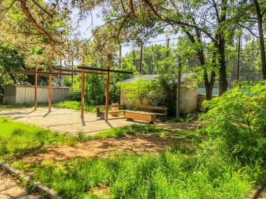 Ahşap banklar ve stadyum yakınında Şehir Parkı ağaçlarda çiçeği. Şehrin ilkbaharda.