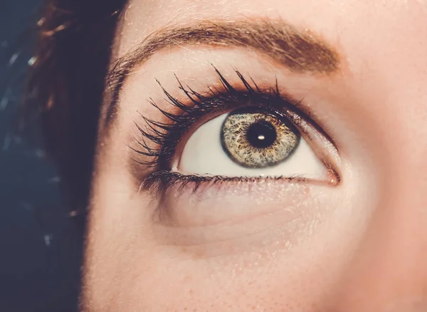 A beautiful insightful look eye. Close up shot. — Stock Photo, Image