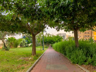 Rishon Le Zion, İsrail - 30 Nisan 2018: Street Rishon Lezion, İsrail