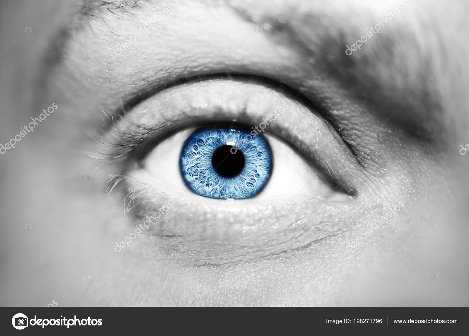 Image Du Beau Regard Perspicace De L Homme De Pres Image Libre De Droit Par Viculia C Image Du Beau Regard Perspicace De L Homme De Pres Image Libre De Droit Par Viculia C