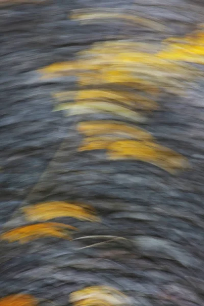 Asfalt textury na silnici. Abstraktní motion blur efekt. — Stock fotografie