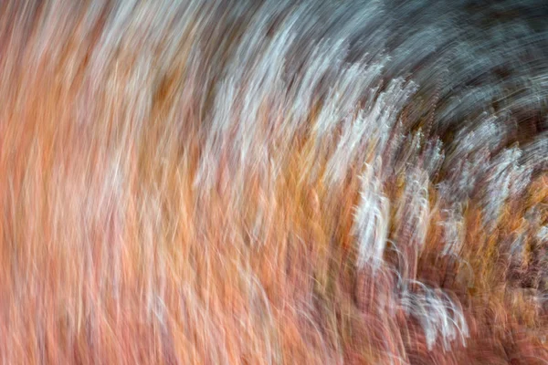 Spring blurred flowers. Abstract motion blur effect