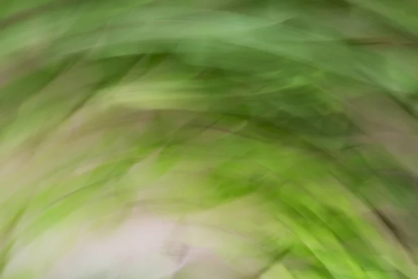 Spring blurred leaves. Abstract motion blur effect