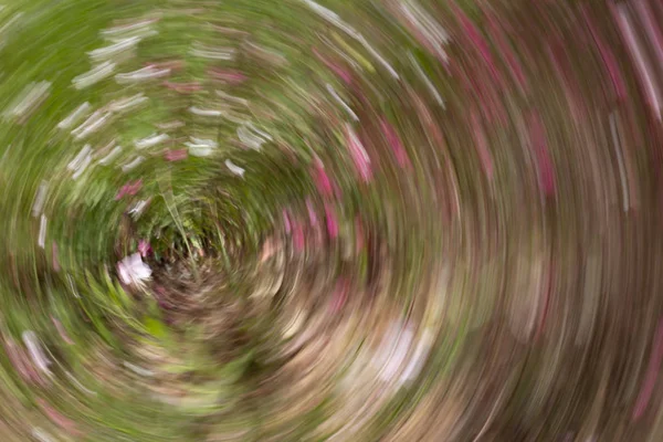 Efeito abstrato de borrão de movimento. Flores borradas de primavera . — Fotografia de Stock