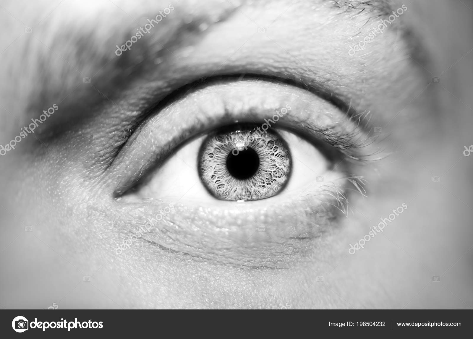 Blick auf die Augen Neue Dating-Website in Frankreich