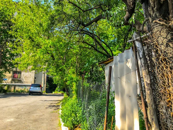 TBILISI, GEORGIA - - 17 MAGGIO 2018: Il cortile di una casa, alberi di fiori, auto nel cortile. Primavera in città — Foto Stock