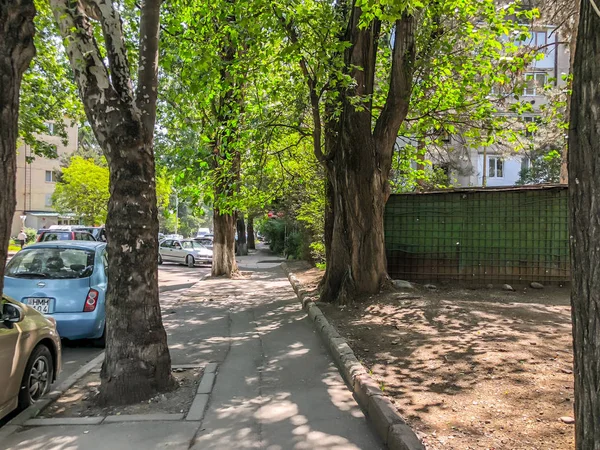 TBILISI, GEORGIA - - 17 DE MAYO DE 2018: La calle de la ciudad, árboles en flor, coches en la calle. Primavera en la ciudad —  Fotos de Stock