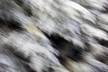  Bulanık Bahar bırakır. Soyut hareket bulanıklığı etkisi