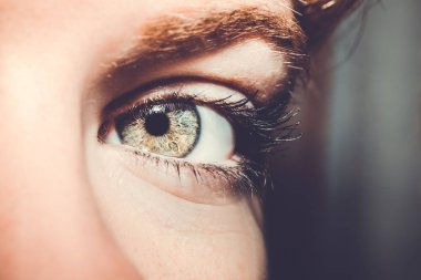 Güzel, anlayışlı bir bakış. Yakın çekim..