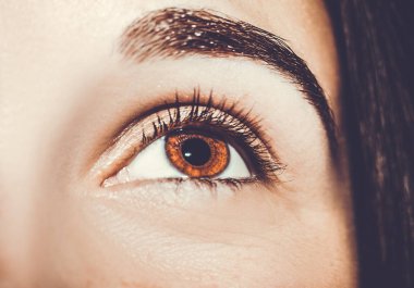 Güzel, anlayışlı bir bakış. Yakın çekim..