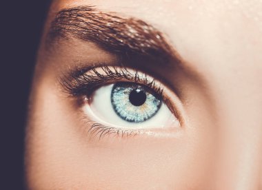 Güzel, anlayışlı bir bakış. Yakın çekim..