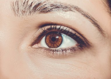 Güzel, anlayışlı bir bakış. Yakın çekim..