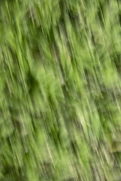 Folhas borradas de primavera. Abstrato efeito borrão movimento — Fotografia de Stock
