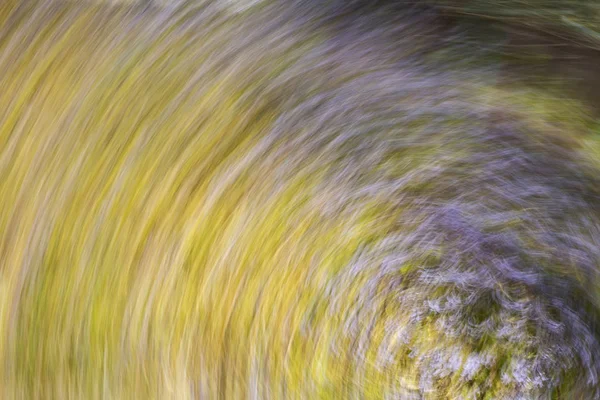 Jarní květiny rozmazané. Abstraktní motion blur efekt — Stock fotografie