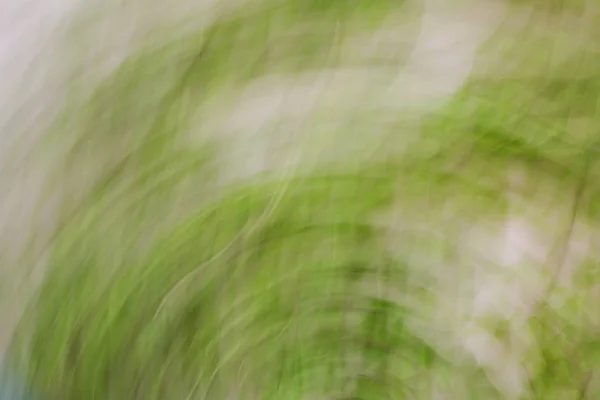 Spring blurred leaves. Abstract motion blur effect