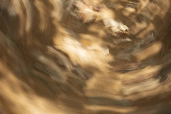 Gevallen bladeren op de grond liggen. Abstracte Bewegingsvervaging effect. — Stockfoto