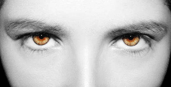 美しい洞察力のある外観の女性の目。撃たれた — ストック写真