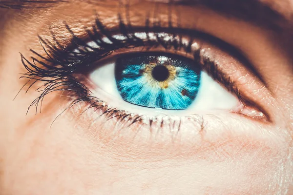 Güzel bir anlayışlı kadın bakışı. Yakın çekim.