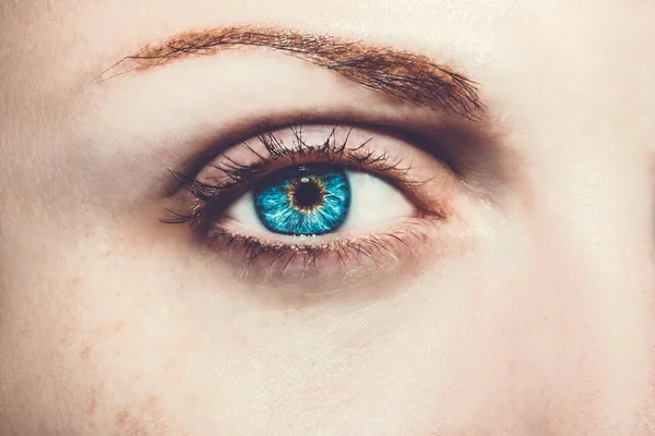 Ein schöner, aufschlussreicher Blick in die Augen der Frau. Nahaufnahme. — Stockfoto