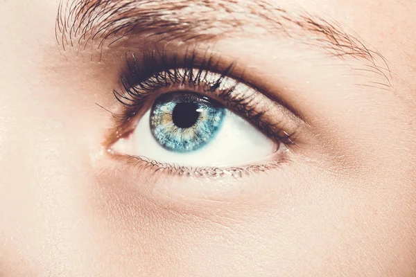 A beautiful insightful look eye. Close up shot. — Stock Photo, Image