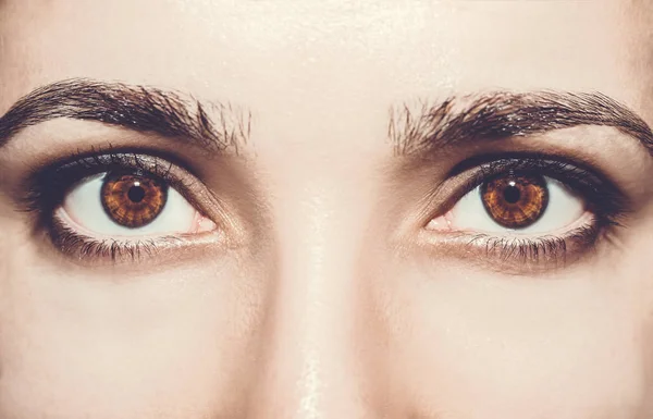 아름다운 통찰력있는 눈. 가까이 촬영. — 스톡 사진