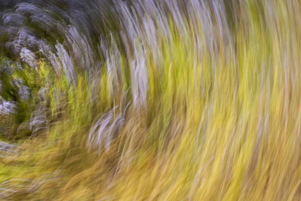 Spring blurred flowers. Abstract motion blur effect