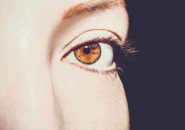 Güzel, anlayışlı bir bakış. Yakın çekim..