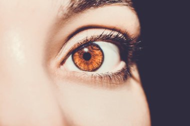 Güzel bir anlayışlı kadın bakışı. Yakın çekim.