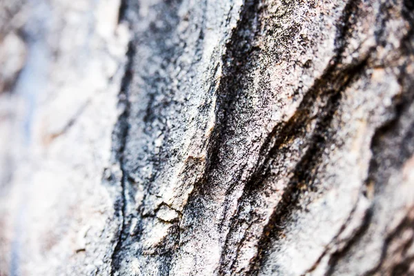 Zblízka z přírodní kamenné zdi. Struktura kamenné stěny — Stock fotografie