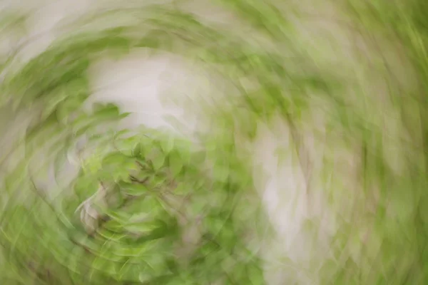 Folhas borradas de primavera. Abstrato efeito borrão movimento — Fotografia de Stock