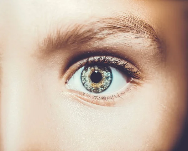 A beautiful insightful look eye. Close up shot. — Stock Photo, Image