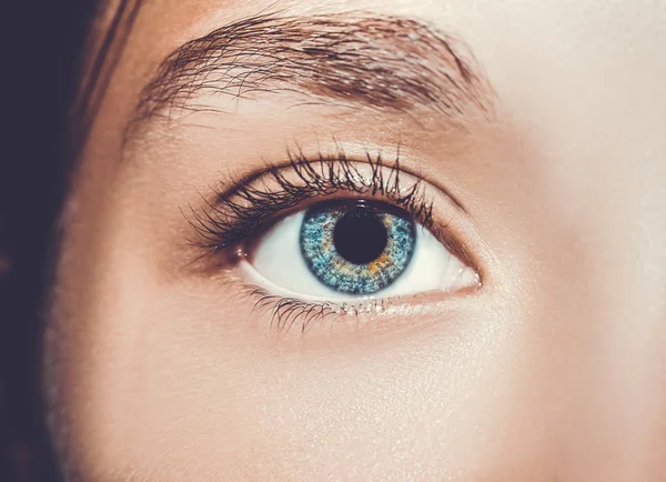 아름다운 통찰력있는 눈. 가까이 촬영. — 스톡 사진