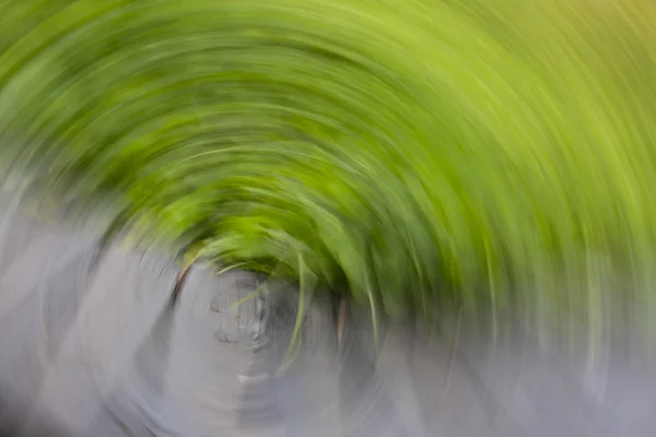 Spring blurred leaves. Abstract motion blur effect